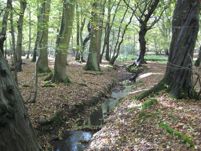 Cripsey Brook in Epping Forest © Nigel Cox cc-by-sa/2.0 :: Geograph ...