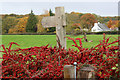 Footpath sign and berry crop