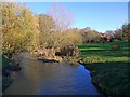 River Pont. Ponteland Park