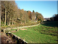 SD3383 : Footpath west of Haverthwaite by Karl and Ali
