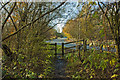 One way out of Pennington Flash Country Park