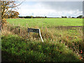 Field south of Harry