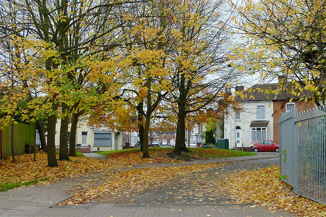 Autumn trees in Blakenhall, Wolverhampton