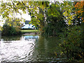 Pond in the hamlet of Bush Green