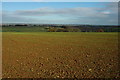 View to Kingscote Wood