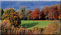 Autumn, Lagan valley, Belfast