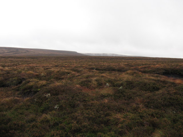 Moorland between Carter Fell and Girdle Fell