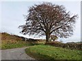 NY4668 : Road junction at Prior Rigg by Oliver Dixon