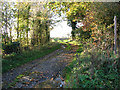 Track to Pied Bridge Farm