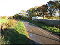 Approaching Pied Bridge Farm on Low Lane