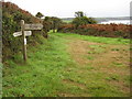 On the South West Coast Path