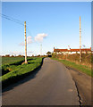 Approaching Grange Farm on North Green Road