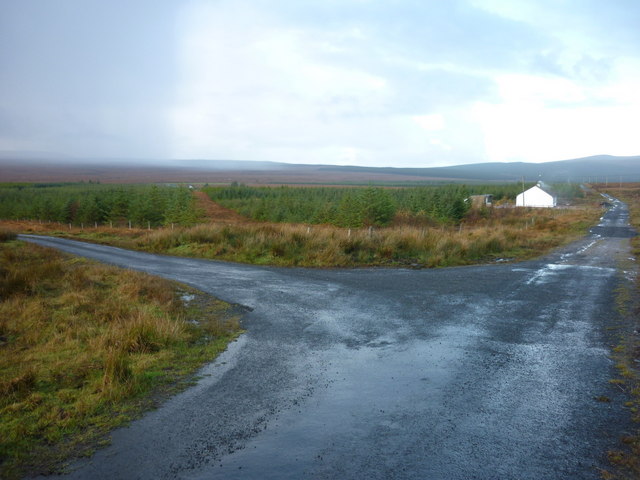 Fork in the road, Crucknacolly, Co. Mayo