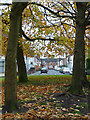 Autumn trees and Shaw Road in Blakenhall, Wolverhampton