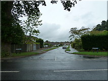 TQ1630 : Looking from Guildford Road into Fawn Drive by Basher Eyre