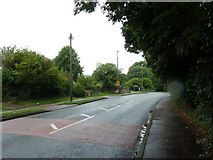 TQ1630 : Looking towards the cemetery gates in Guildford Road by Basher Eyre