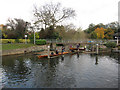 Skiffs at Molesey Lock