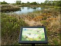 Dragonfly information board