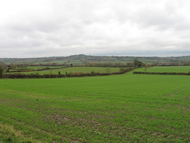 Fields south of Flecknoe