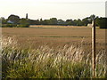 Footpath sign south of Willow Farm