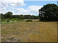 The Angles Way, crossing Hinderclay Fen