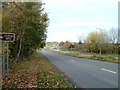 Leaf-strewn pavement, Wyck Beck Road, Bristol