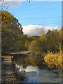 Manchester, Bolton & Bury Canal, Little Lever