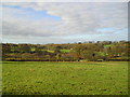 Ceredigion countryside