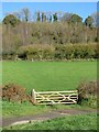 Gate into field at Chiltern Cross