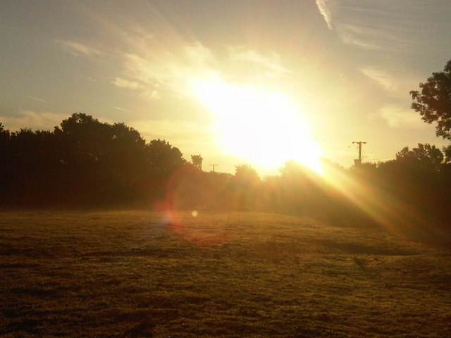 Sunrise in the back field