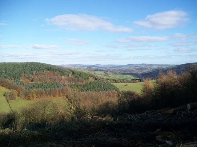 View from Brycheiniog Forest