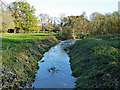 River Arun at Wanford Bridge (north)