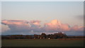 Pink Clouds over New Barn Farm