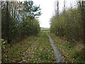 A private track near Low Rest Park Farm