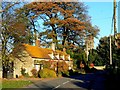 Hatford Cottage, Hatford