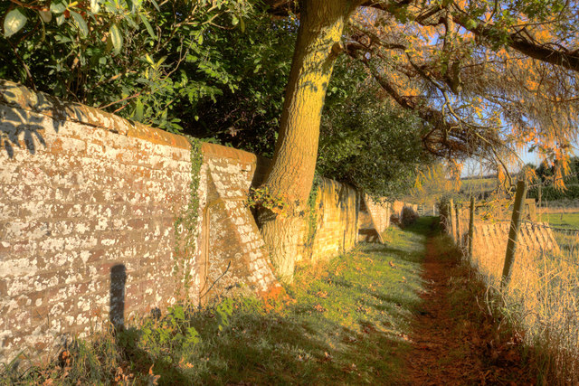 Footpath by garden wall