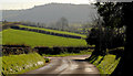 The Rectory Road near Glynn and Gleno (3)