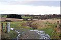 Farm track near East Glenboig