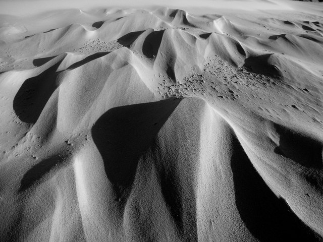 Newburgh: The Sands of Forvie