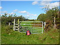 Gate and stile Landsker Borderlands Trail north of Vicar