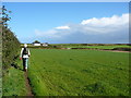 Footpath north of Marloes