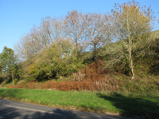 Autumn sun on the hillside above the... © Sarah Charlesworth ...