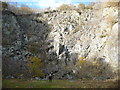 Disused quarry on Moel y Golfa