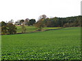 NY9665 : Farmland east of Anick Grange (5) by Mike Quinn