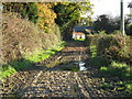 Muddy track to outbuildings at Honeybridge Farm