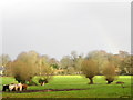 Meadow, Holt