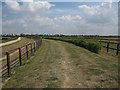 TL6659 : Icknield Way by horse gallops by Hugh Venables