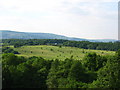 Golf Course and Coed Garw