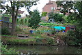 Allotments by the River Medway