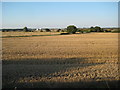 Harvested wheat field beside Defford Airfield